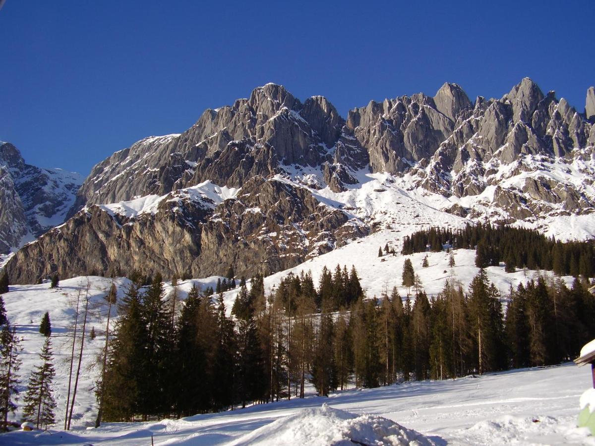 Appartementhaus Hochkoenig 1 - Alpenrose Мюльбах-ам-Хохкёниг Экстерьер фото